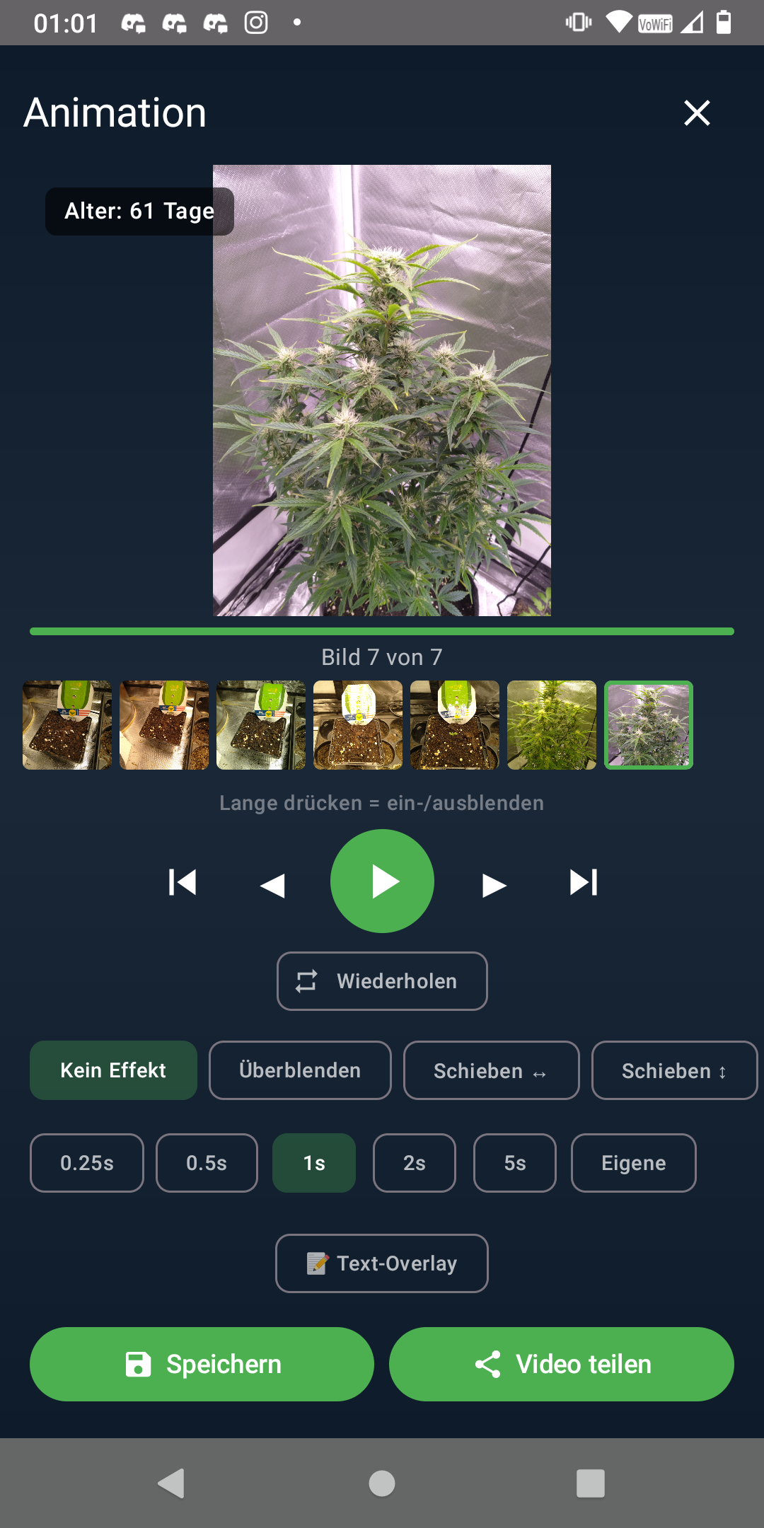 Screenshot 4 - Daily Picture