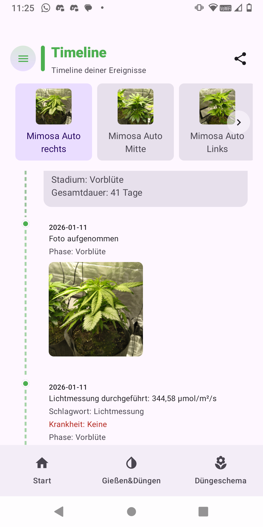Screenshot 6 - Timeline Gallery
